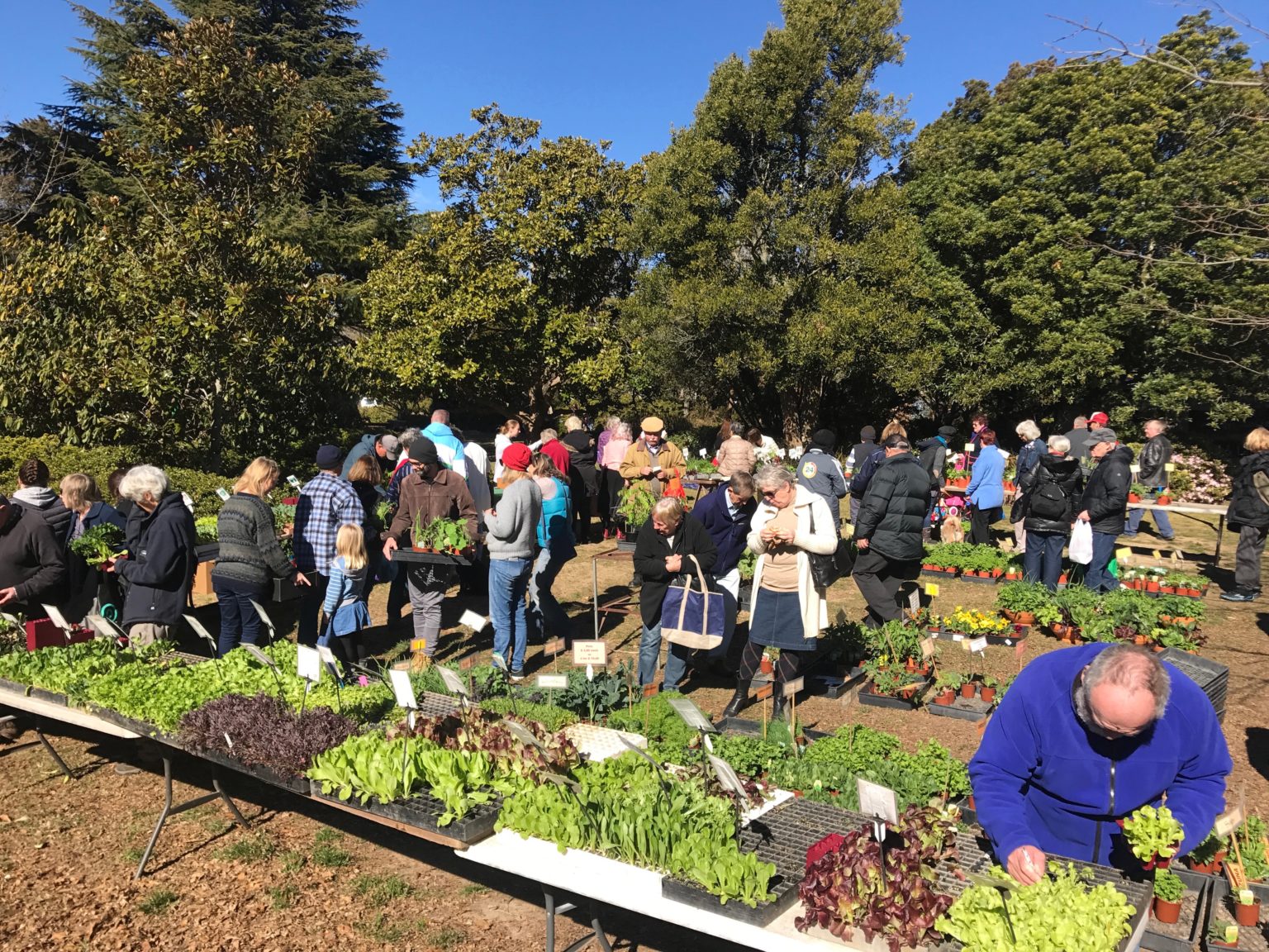 Find Us Patio Plants Pty Ltd